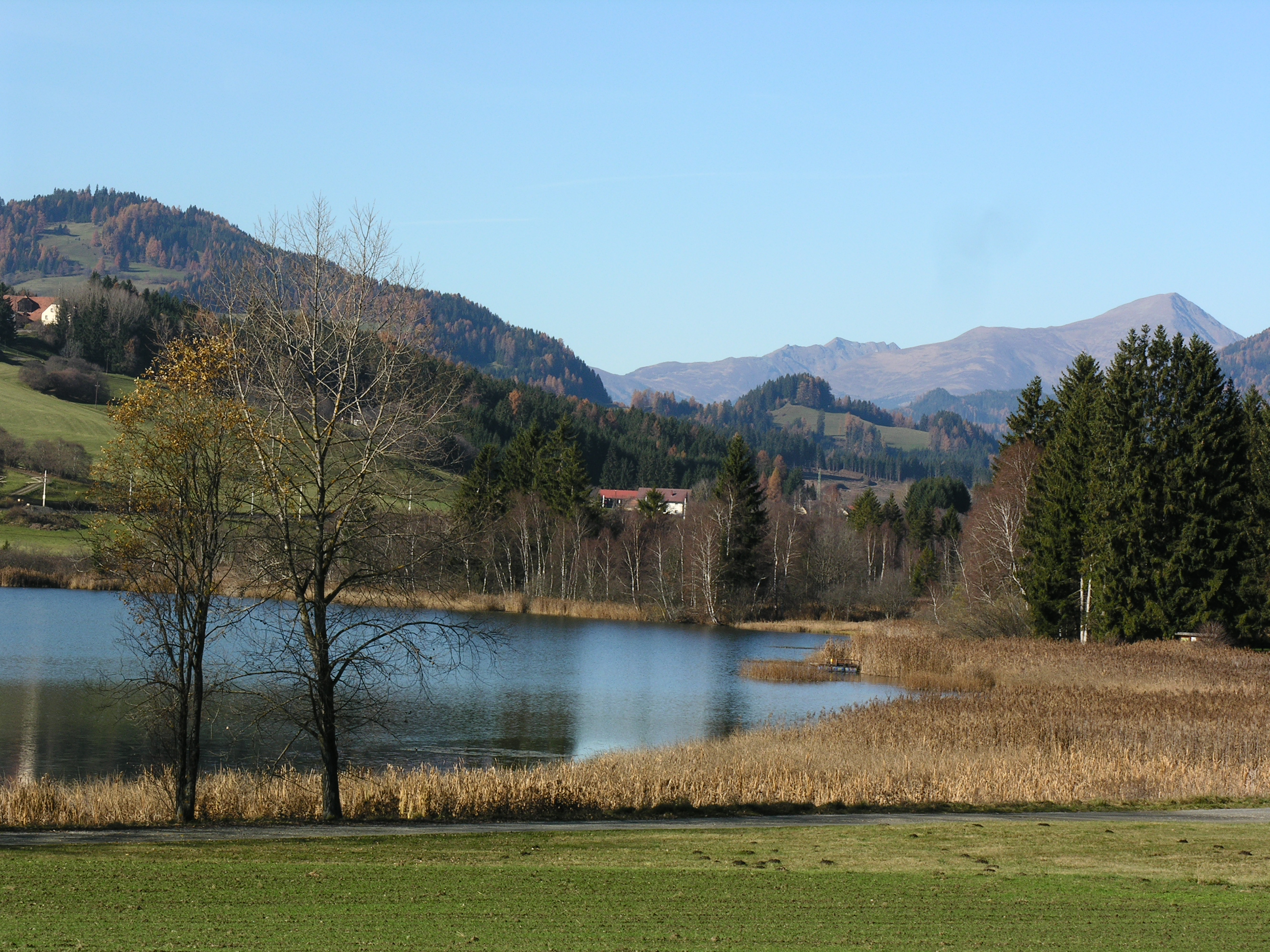 Furtner Teich Naturpark